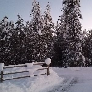 Meet your Posher, Tori